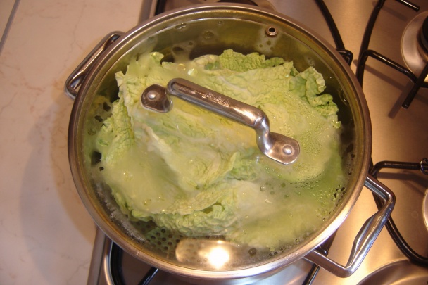 Závitky zo šialene zdravej zeleniny - kelu (fotorecept) - obrázok 3