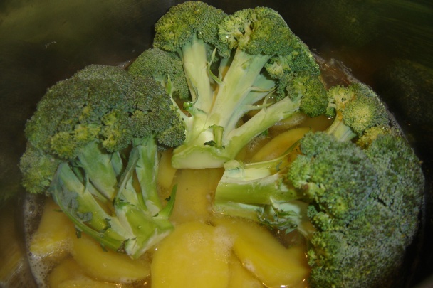 Brokovnica opretá o prsia (fotorecept) - obrázok 1