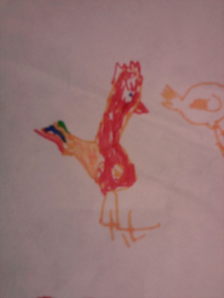 Hydinové na kyslej kapuste (fotorecept) - obrázok 1