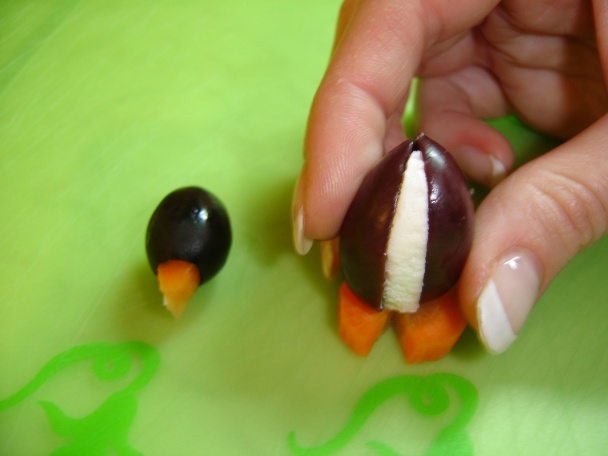 Olivový tučniak - obrázok 7