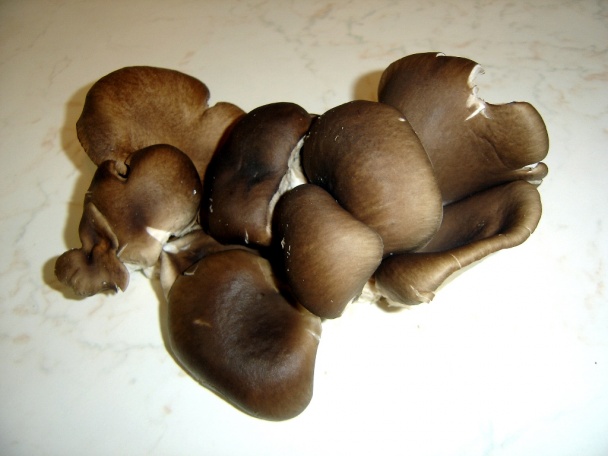 Kapustovico-hlivovica - krémová kapustová polievka s hlivou (fotorecept)   - obrázok 2