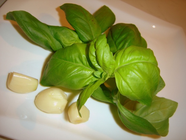 Paradajkový aspik s mozzarellou ako jednohubky a v šaláte (fotorecept) - obrázok 14