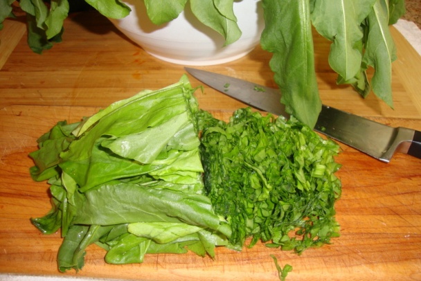 Dusený šťavel v bešamelovej omáčke – vyšperkovaný (fotorecept) - obrázok 7