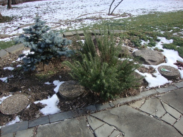 Divina dusená vo vlastnej marináde (fotorecept) - obrázok 9