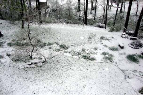 Praženica pre nežnú ½ s chlopskými šmakmi (fotorecept) - obrázok 9