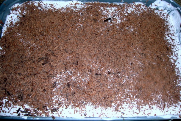 Pasta Bolognese – voňavý variant - teraz s hovädzinou (fotorecept) - obrázok 14