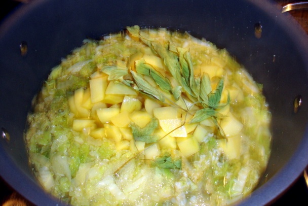 Kelový prívarok z čínskej kapusty – Celer nappa cabbage (fotorecept) - obrázok 5