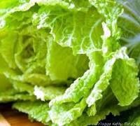 Kelový prívarok z čínskej kapusty – Celer nappa cabbage (fotorecept) - obrázok 14