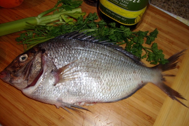 Lahodná rybka - Porgy Scup - s ľadovým šalátom a marhuľami (fotorecept) - obrázok 2