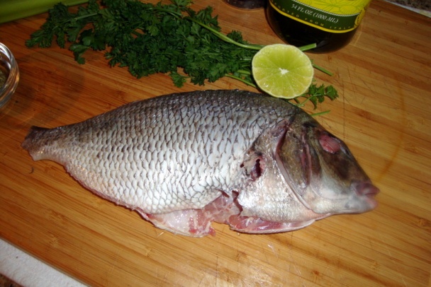 Lahodná rybka - Porgy Scup - s ľadovým šalátom a marhuľami (fotorecept) - obrázok 4