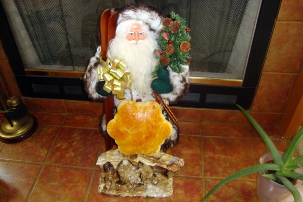 Žemle, hviezdy, vločky podľa Danky z Ostopovíc (fotorecept) - obrázok 15