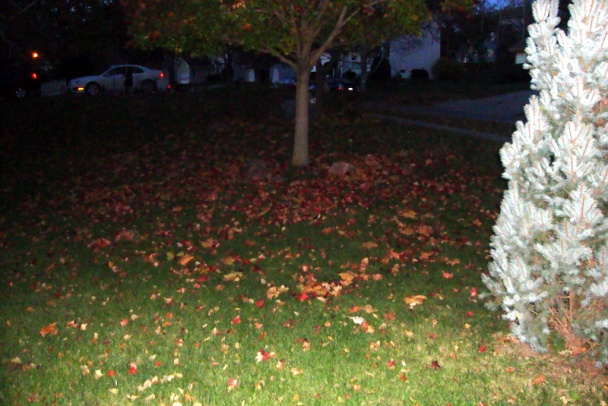 Zemiaková polievka s mäsom a hubami (fotorecept) - obrázok 11