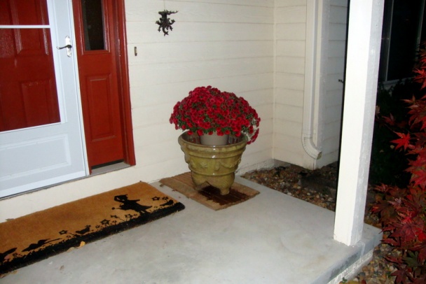 Zemiaková polievka s mäsom a hubami (fotorecept) - obrázok 12