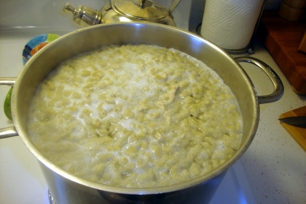 Halušky s cottage cheese (fotorecept) - obrázok 7