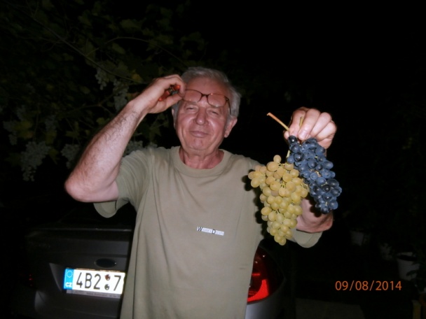 Bravčové pre labužníkov podľa Slávka  (fotorecept) - obrázok 11