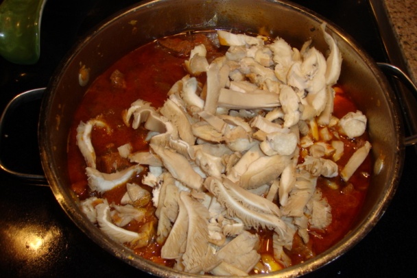 Hovädzí paprikáš s hlivou (fotorecept) - obrázok 7