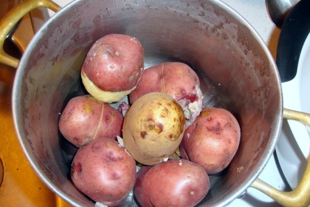 Štedrovečerný trojboj u Blaškovcov v Iowe (fotorecept) - obrázok 2