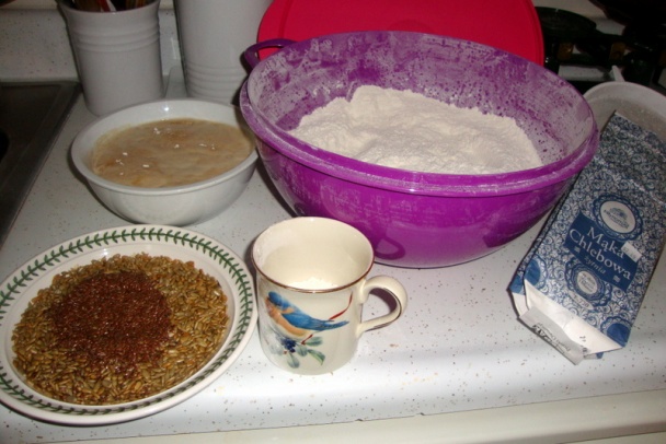 Chlebík z maky chlebowej T-720 (fotorecept) - obrázok 2