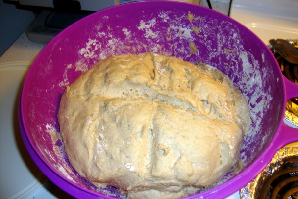 Chlebík z maky chlebowej T-720 (fotorecept) - obrázok 3