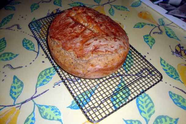 Chlebík z maky chlebowej T-720 (fotorecept) - obrázok 6