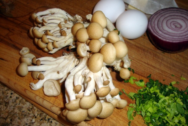 Praženica s medovkou prstienkovitou (fotorecept) - obrázok 2