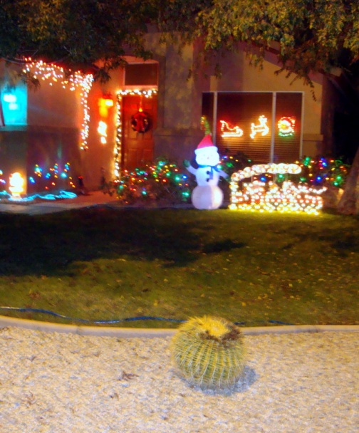 Vyprážané jadrovníky paprík - študentská dobrota (fotorecept) - obrázok 10