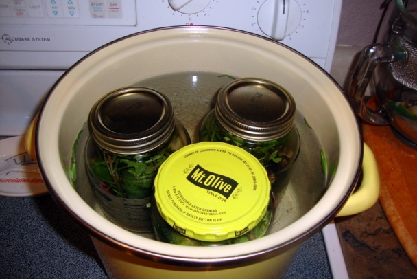 Sladkokyslé uhorky s okrou (fotorecept) - obrázok 9