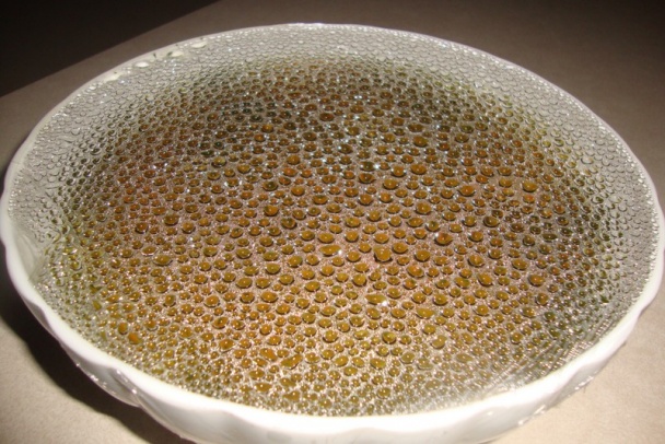 Nátierka zo sardiniek s avokádom a zelinkami (fotorecept) - obrázok 12