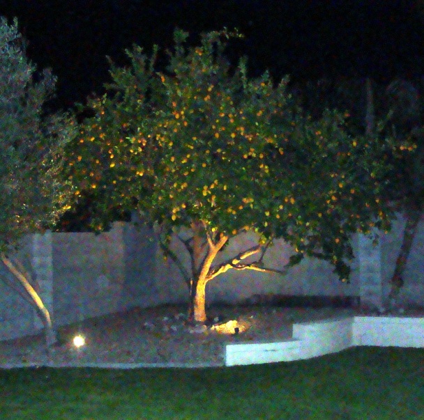 Pečené vrstvené zemiaky (fotorecept) - obrázok 11