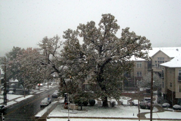 Grenadier marsh so Znojmo okrou (fotorecept) - obrázok 9