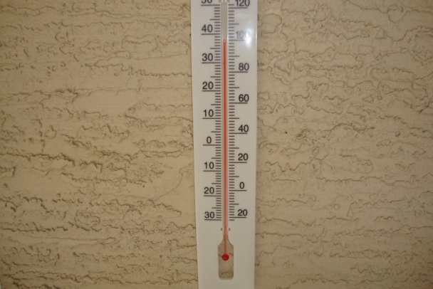 Kuracie prsia s paradajkovou omáčkou (fotorecept) - obrázok 7