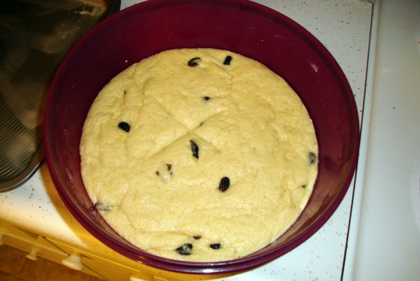 Slivkové buchtičky, pýcha mojej babičky (fotorecept) - obrázok 3