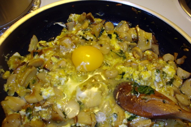 Hliva kotúčová – kráľovské trúby s vajíčkami (fotorecept) - obrázok 5
