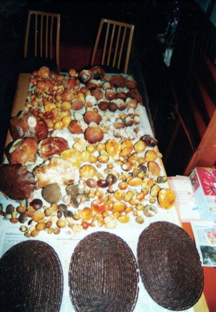 Hliva kotúčová – kráľovské trúby s vajíčkami (fotorecept) - obrázok 7