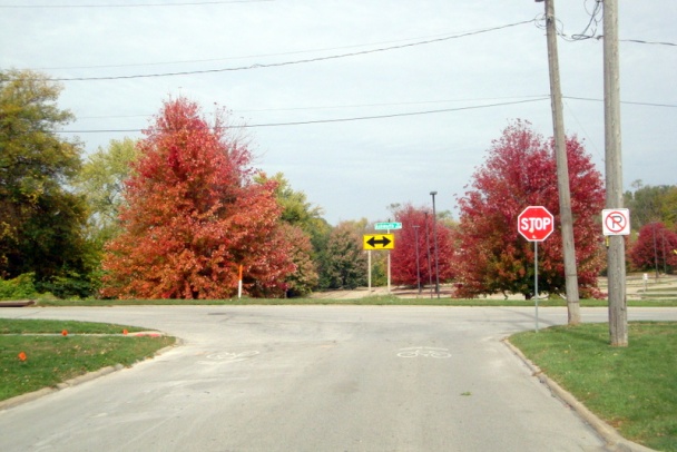 Hovädzie mäso s paprikami a s ryžou (fotorecept) - obrázok 9