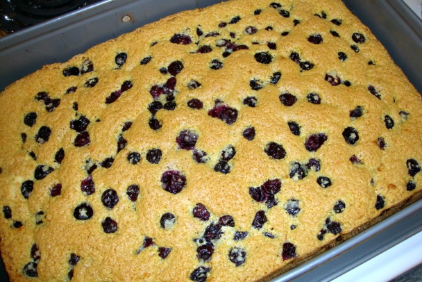 Piškótový zákusok s čučoriedkami a parížskym krémom (fotorecept) - obrázok 9