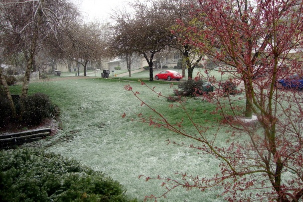 Segedínsky guláš – môj dámsky špeciál (fotorecept) - obrázok 16