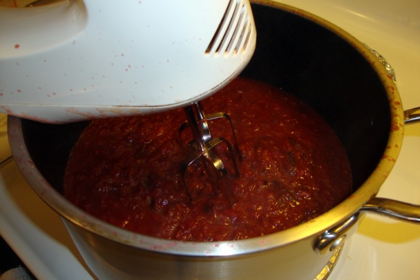 Omáčka z bystrických sliviek (fotorecept) - obrázok 8