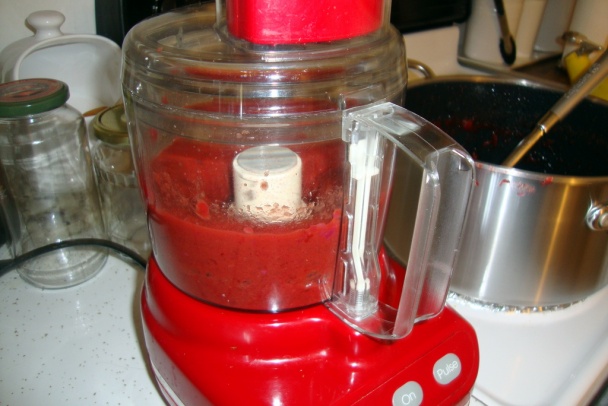 Omáčka z bystrických sliviek (fotorecept) - obrázok 11