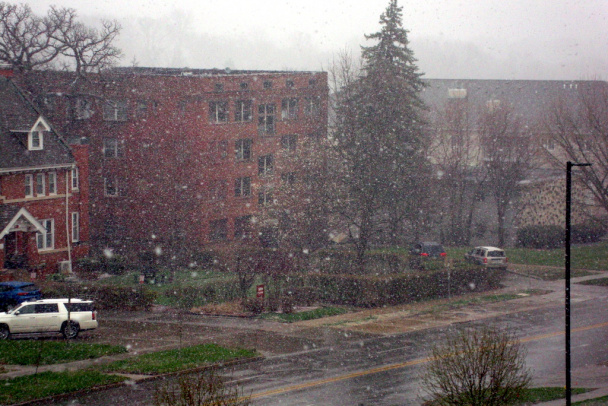 Paštéta z kurčacích a morčacích pečení po mojom (fotorecept) - obrázok 12