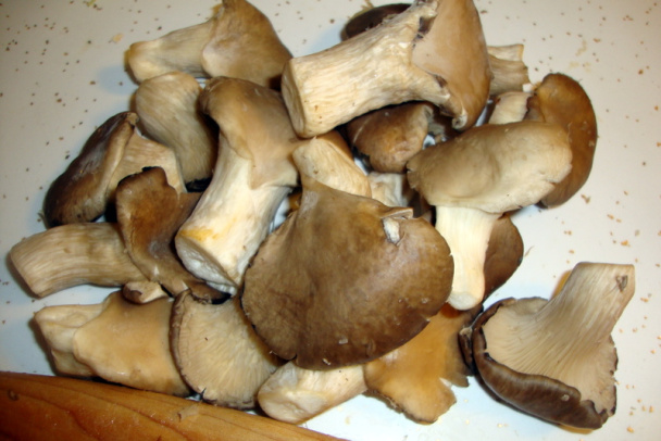 Bravčové plátky s čínskou hlivou a kuskusom (fotorecept) - obrázok 6