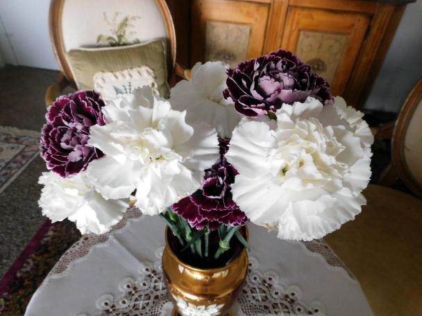 Kuracie lýtka na zelenine (fotorecept) - obrázok 9