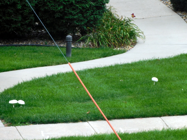 Bravčový guláš s batatami a hubami (fotorecept) - obrázok 15