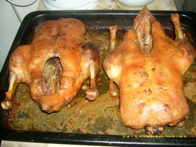 Staromoravská kačica - obrázok 2