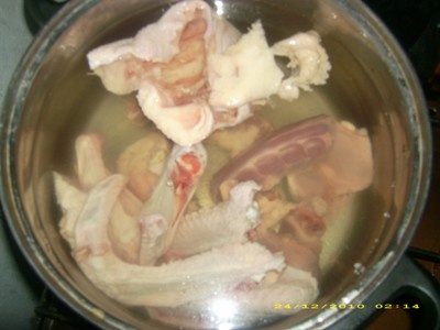 Staromoravská kačica - obrázok 4