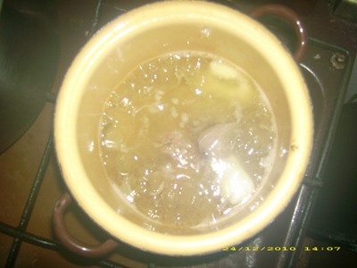 Staromoravská kačica - obrázok 5