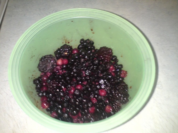 Tvarohová torta s lesným ovocím  - obrázok 2