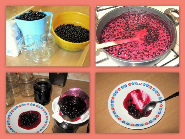 Džem z čiernych ríbezlí (fotorecept) - obrázok 1