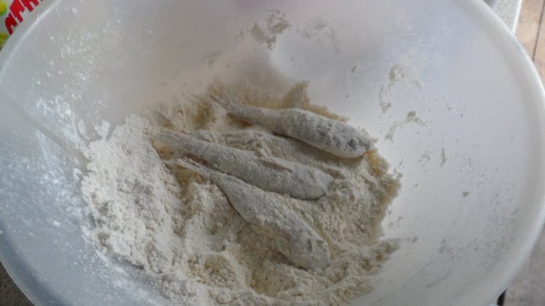 Červena parmica/Trlje - obrázok 2