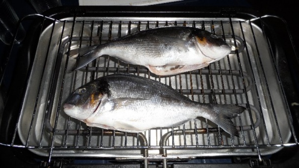 Grilovana Pražma - obrázok 1